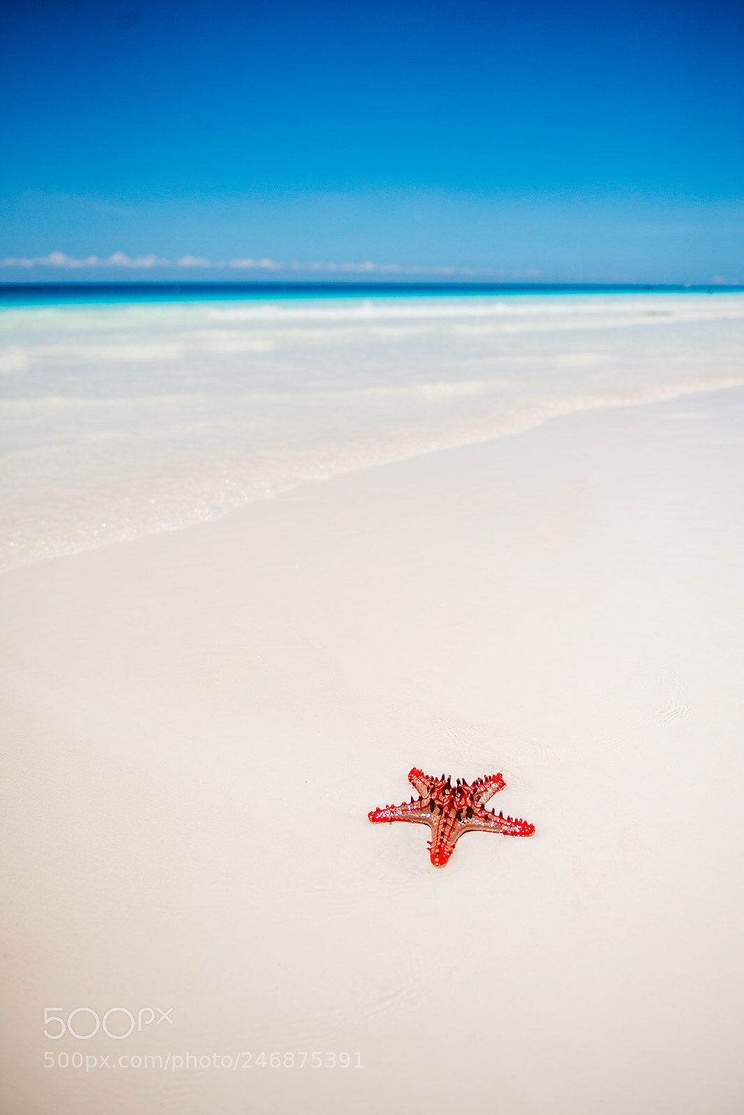 Nikon D800 sample photo. Lonely planet photography