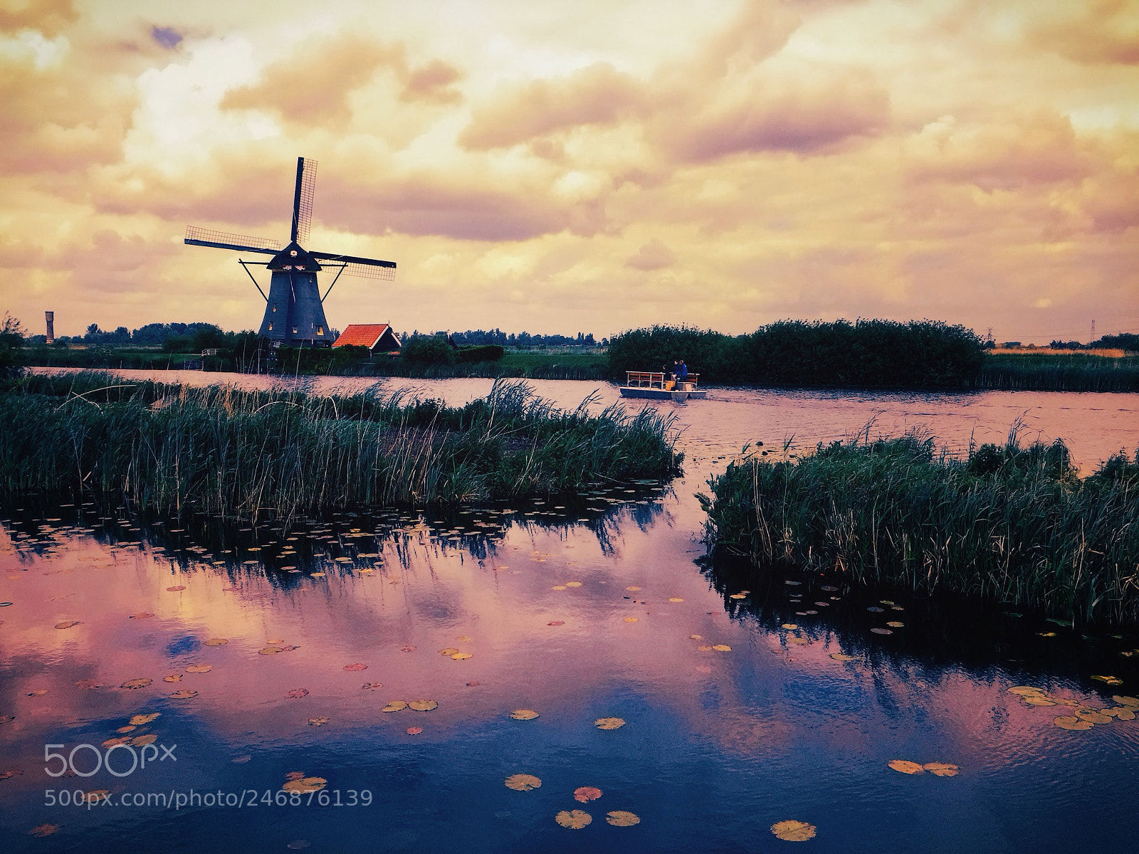 Apple iPhone 6 sample photo. Evening at kinderdijk photography