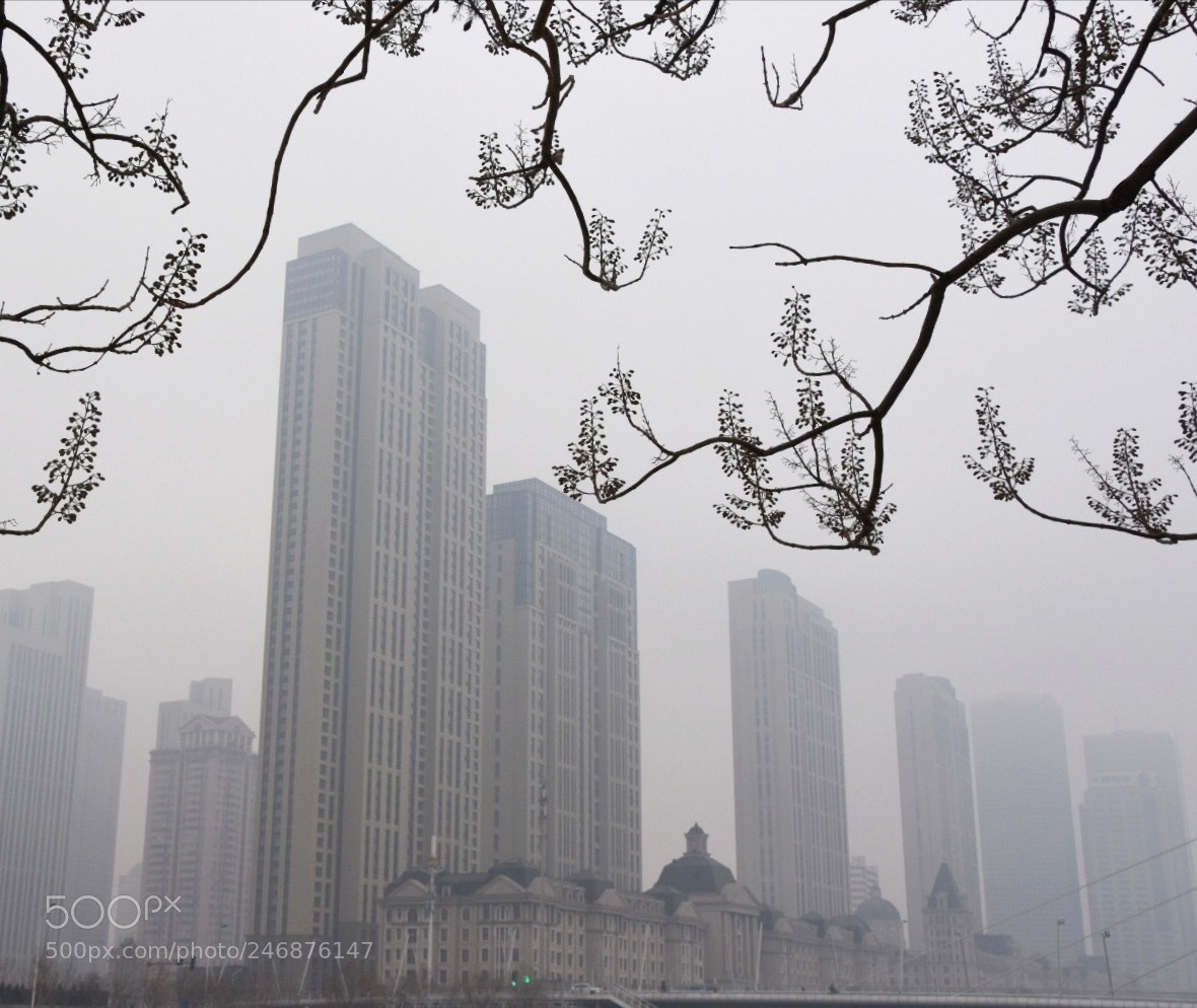 Nikon D7200 sample photo. 阴霾的城 photography