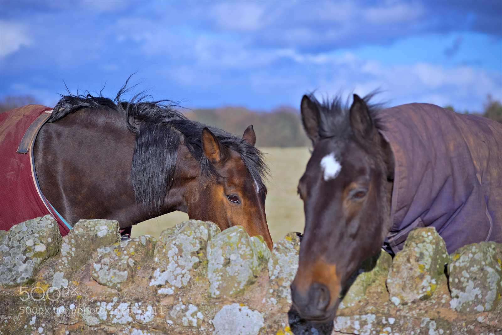 Pentax K-1 sample photo. ♩ ♪ goodbye, horses... ♫ ♬ photography