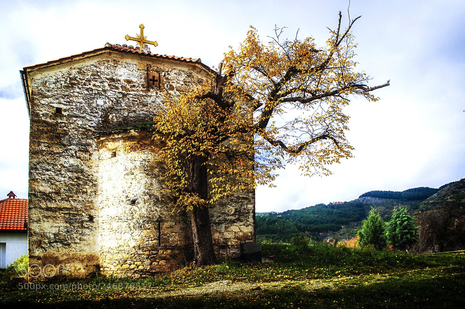Nikon D5000 sample photo. Church and old tree photography