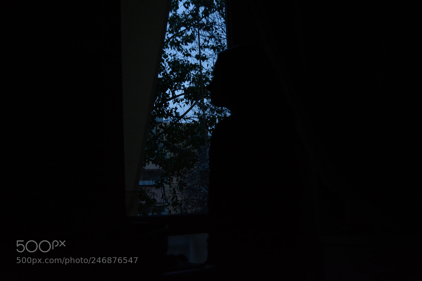 Nikon D5200 sample photo. Window photography