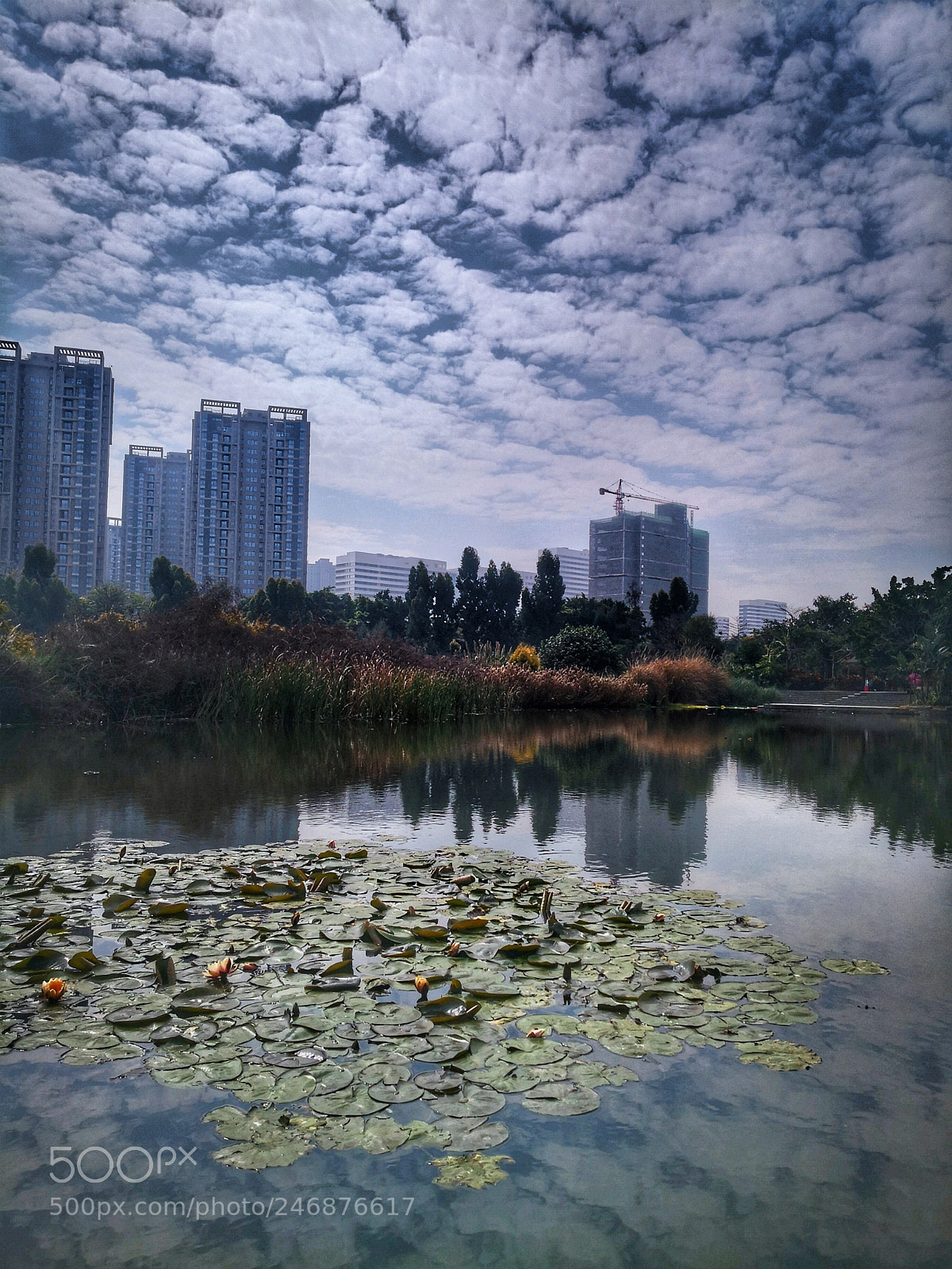 HUAWEI Mate 10 Pro sample photo. Untitled photography