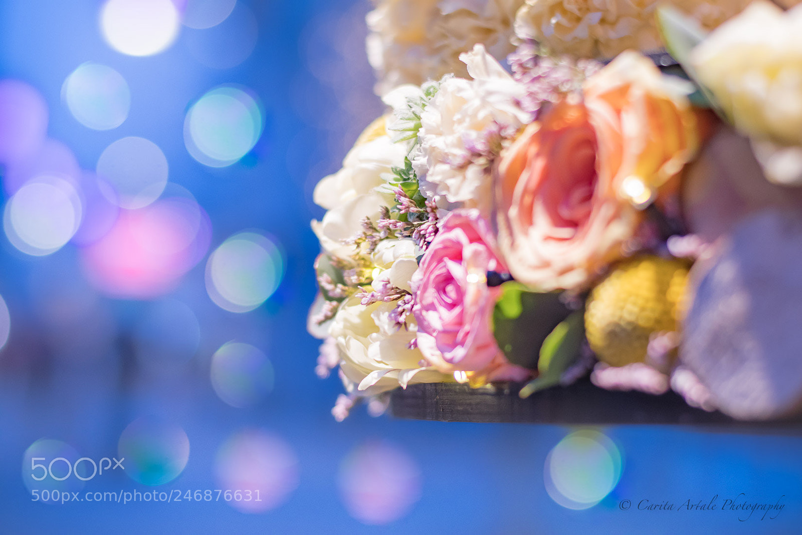 Nikon D500 sample photo. I bring you flowers photography