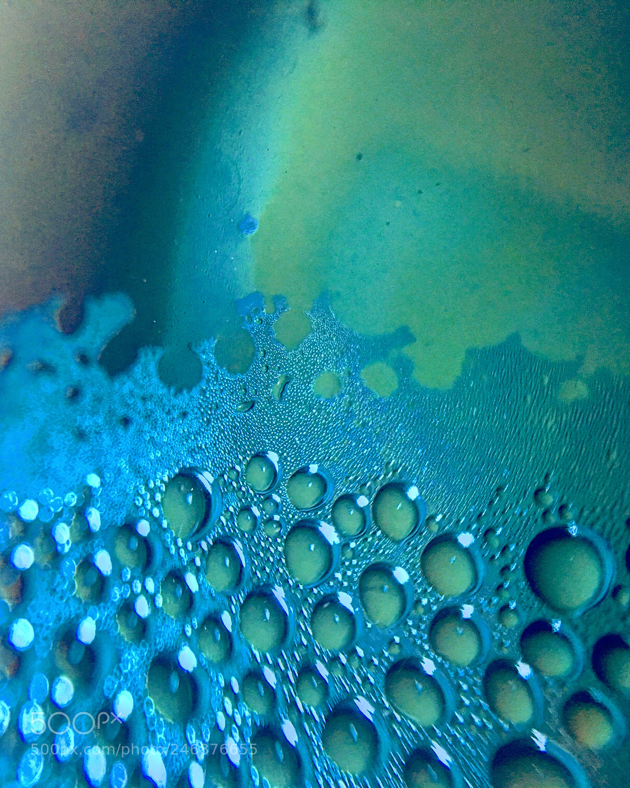 Apple iPhone 6s Plus sample photo. Untitled photography