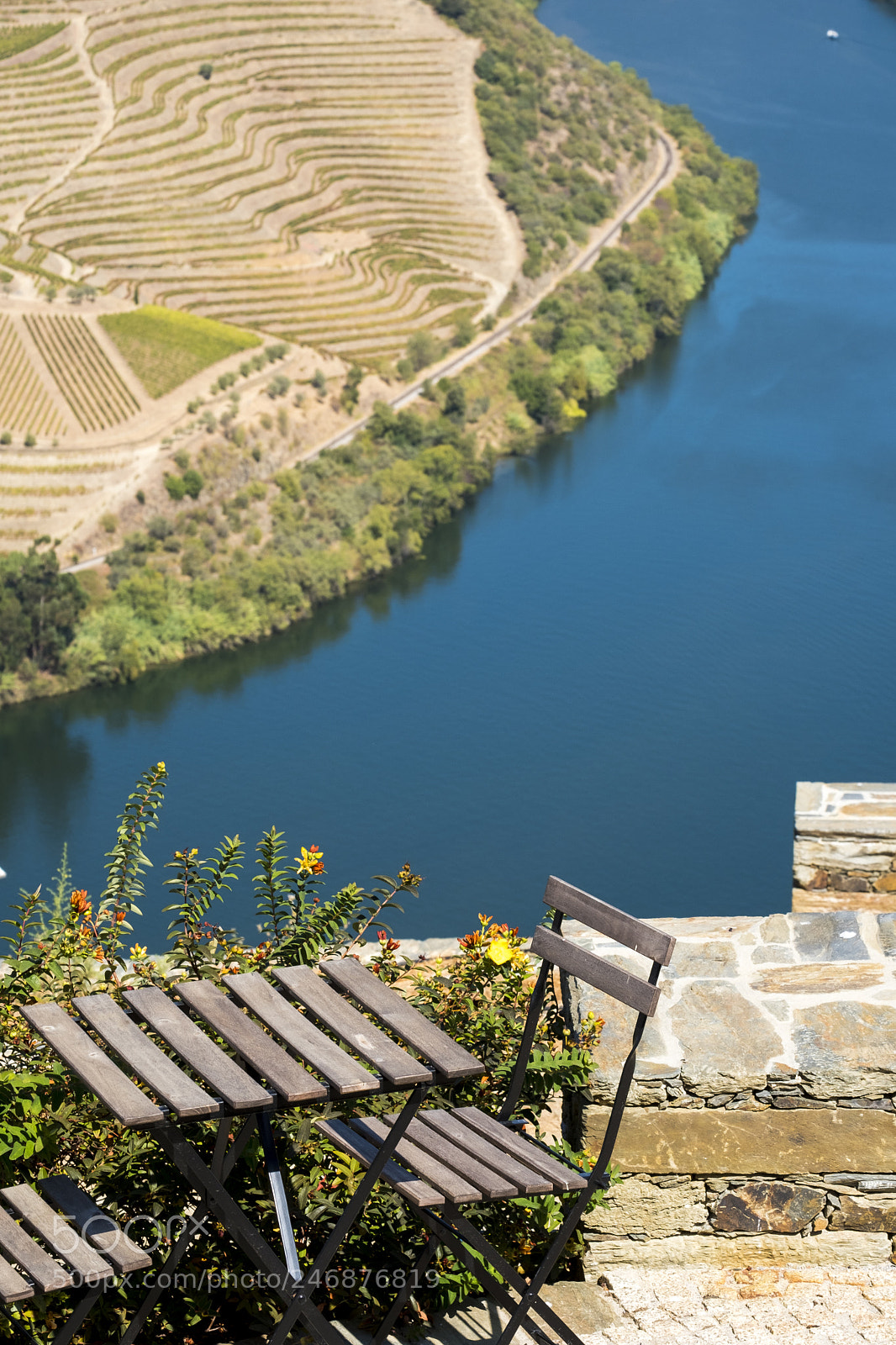 Fujifilm X-T2 sample photo. Vineyards and the douro photography