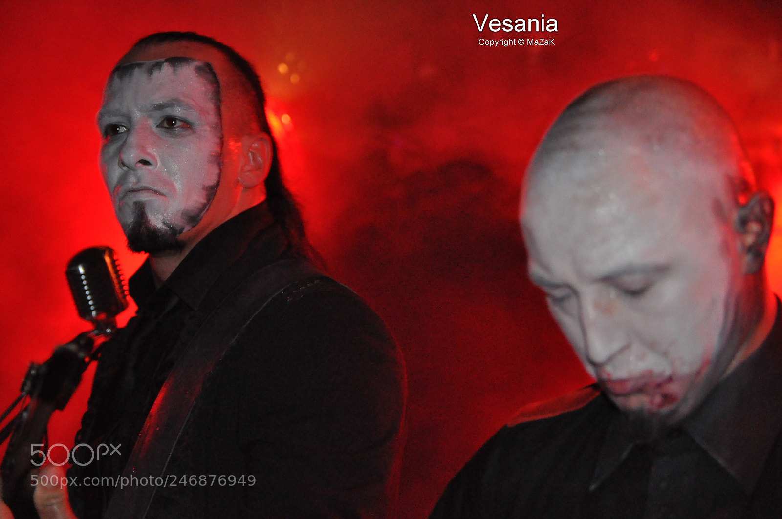 Nikon D90 sample photo. Vesania photography