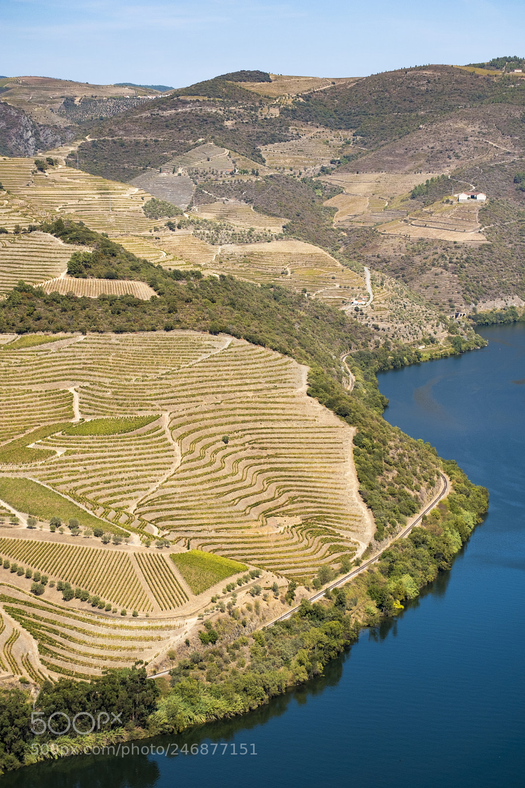 Fujifilm X-T2 sample photo. Vineyards and the douro photography