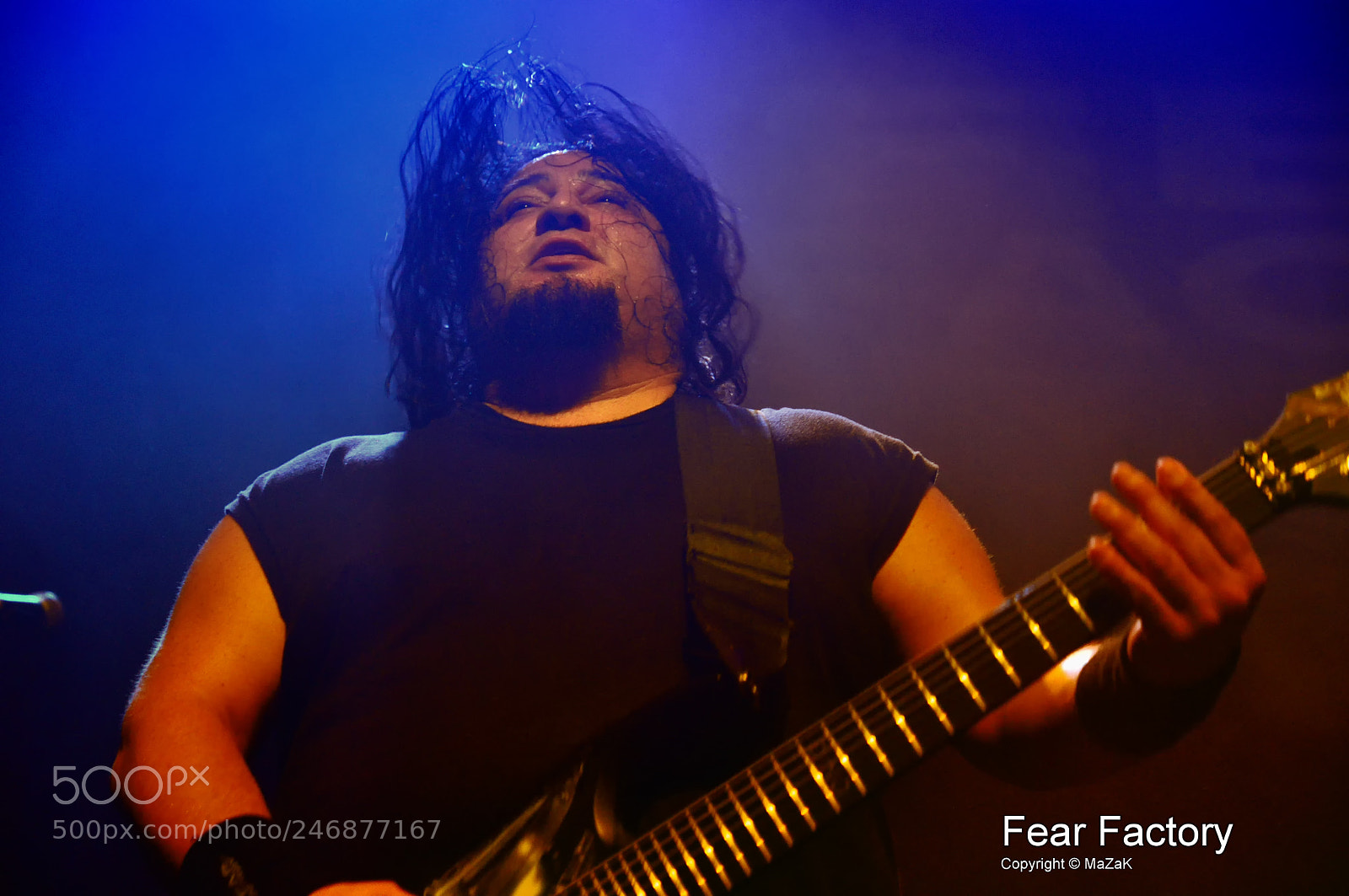 Nikon D90 sample photo. Fear factory photography