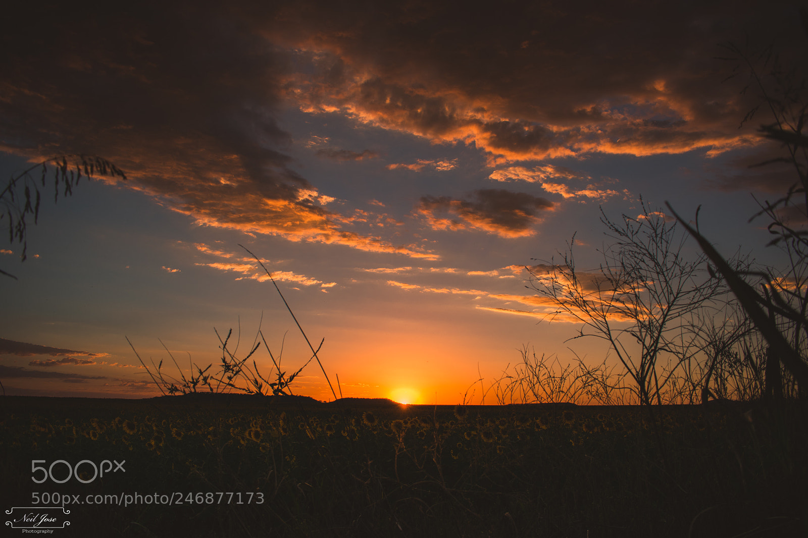 Nikon D3400 sample photo. Cloudy sunset photography