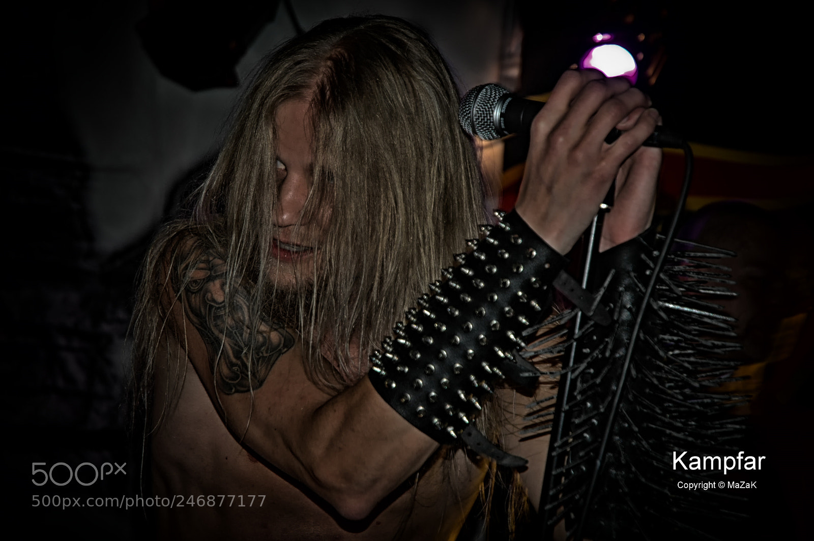 Nikon D70 sample photo. Kampfar photography