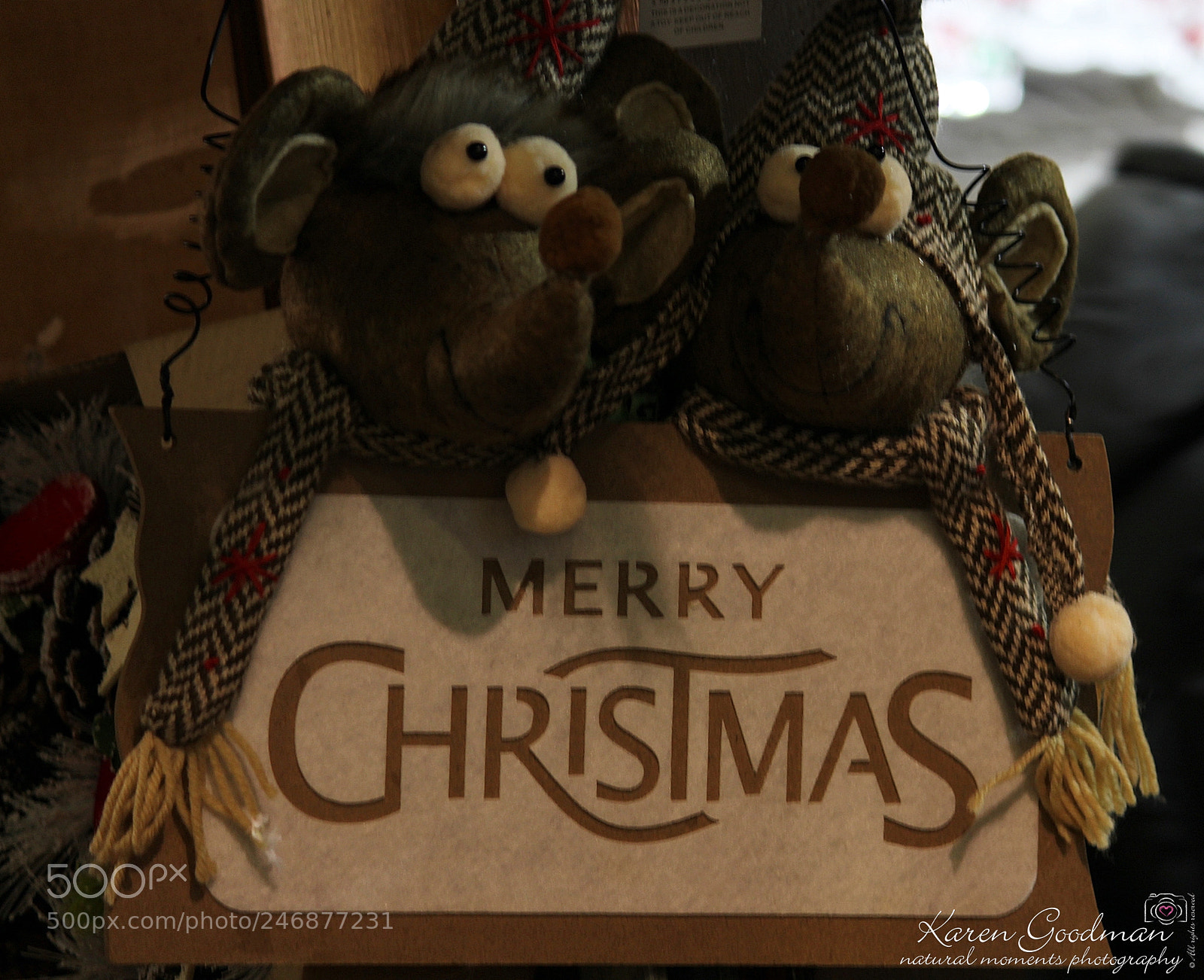Canon EF-S 55-250mm F4-5.6 IS II sample photo. Birmingham photography