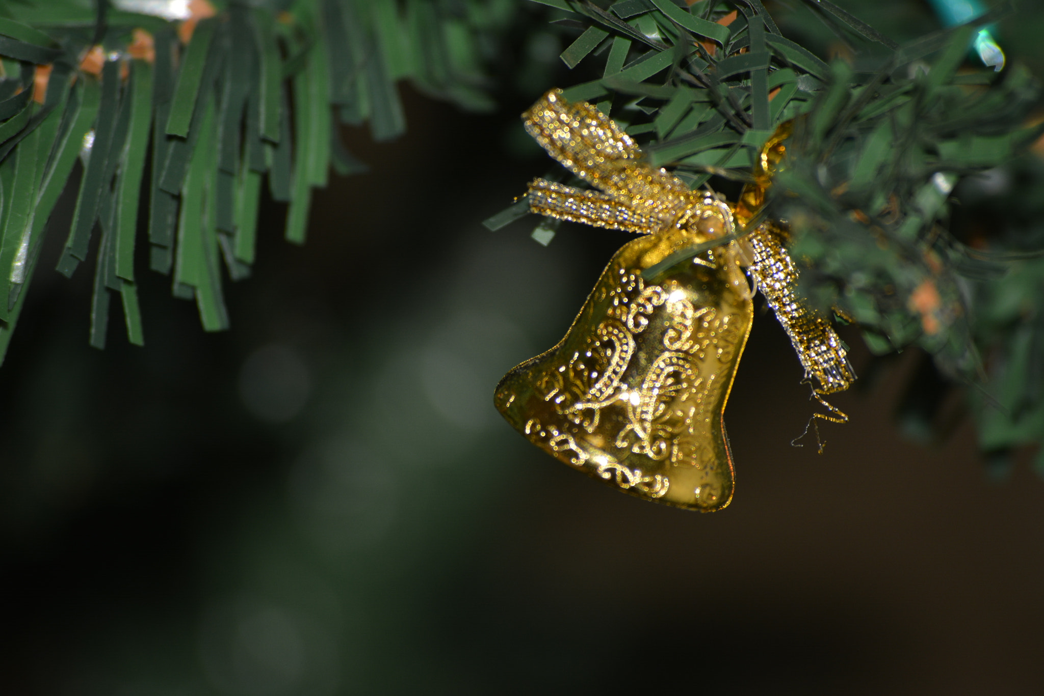 Nikon D5200 sample photo