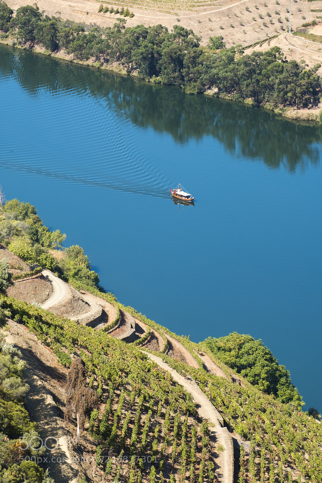 Fujifilm X-T2 sample photo. Vineyards and the douro photography