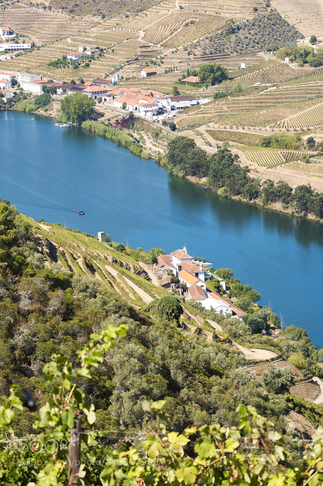 Fujifilm X-T2 sample photo. Vineyards and the douro photography