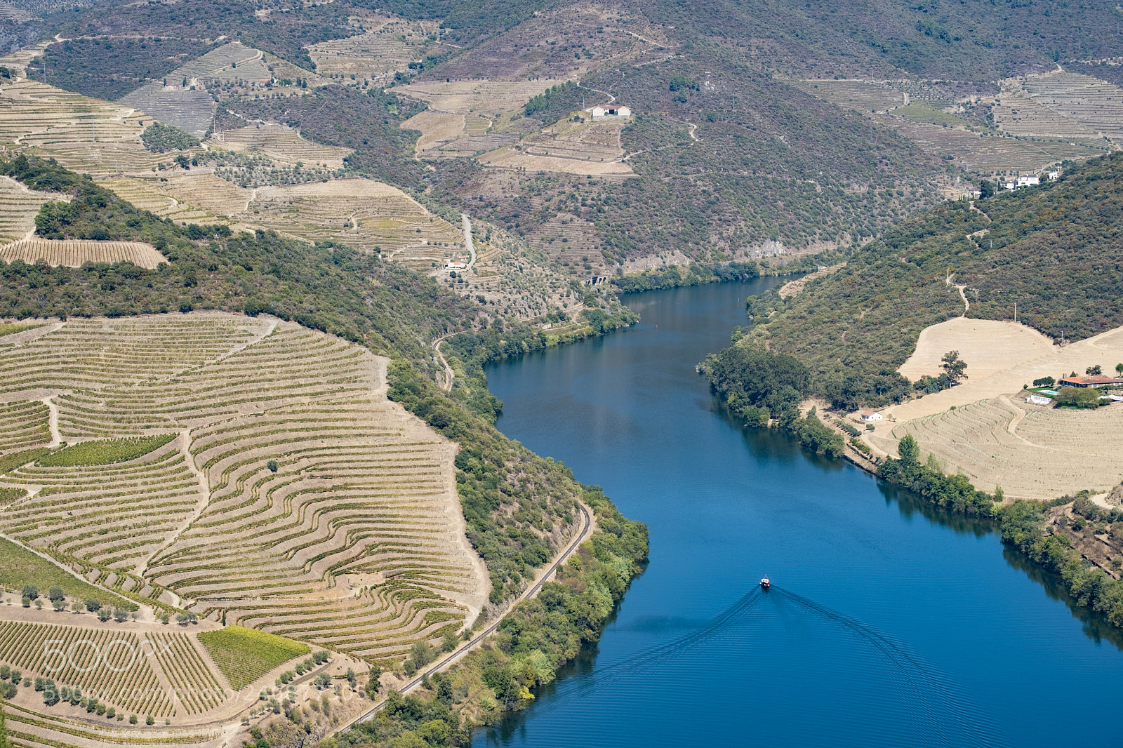 Fujifilm X-T2 sample photo. Vineyards and the douro photography