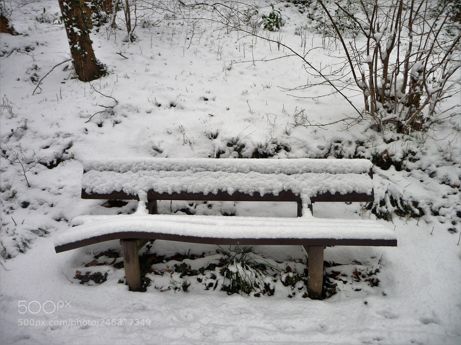 Panasonic Lumix DMC-TZ5 sample photo. Bench in forest in photography