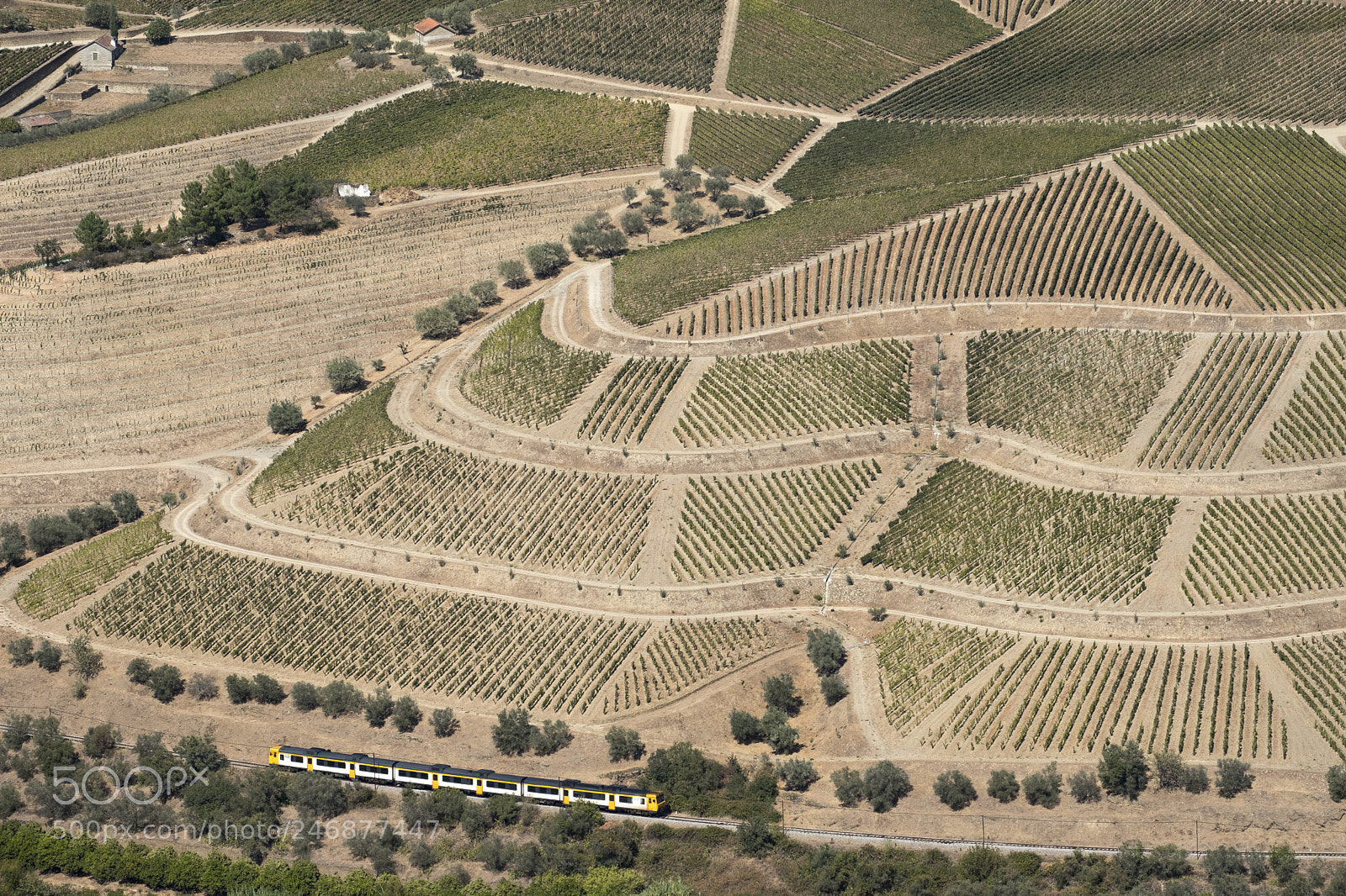 Fujifilm X-T2 sample photo. Vineyards and the douro photography