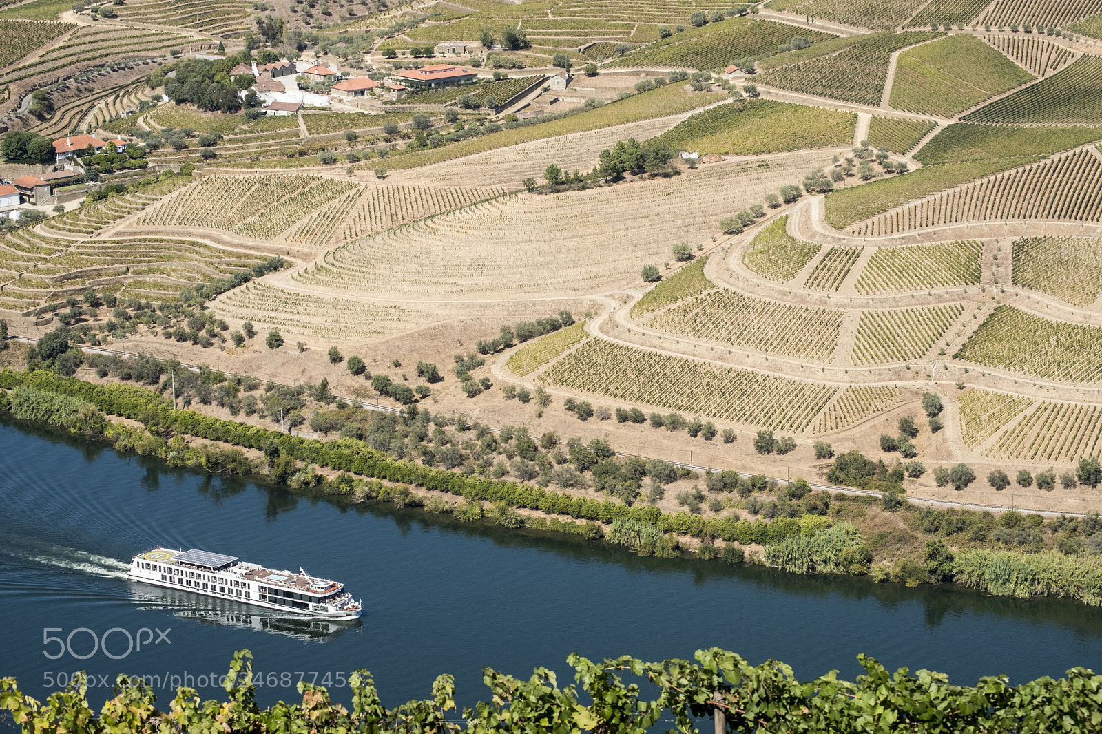 Fujifilm X-T2 sample photo. Vineyards and the douro photography