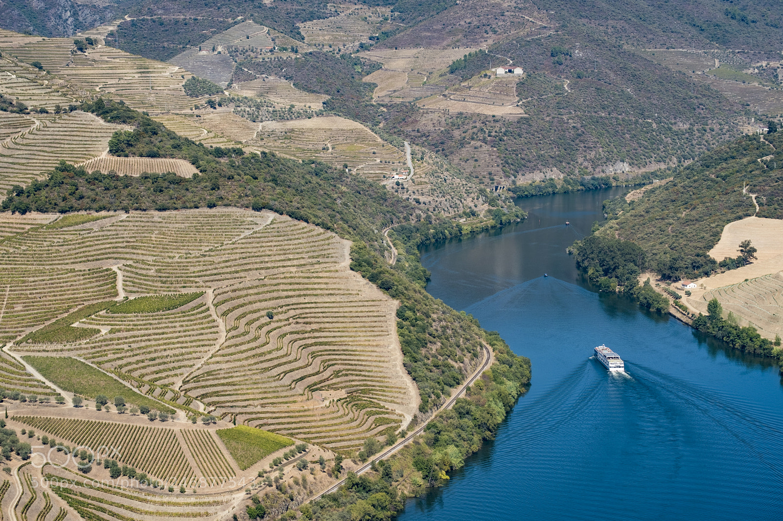 Fujifilm X-T2 sample photo. Vineyards and the douro photography