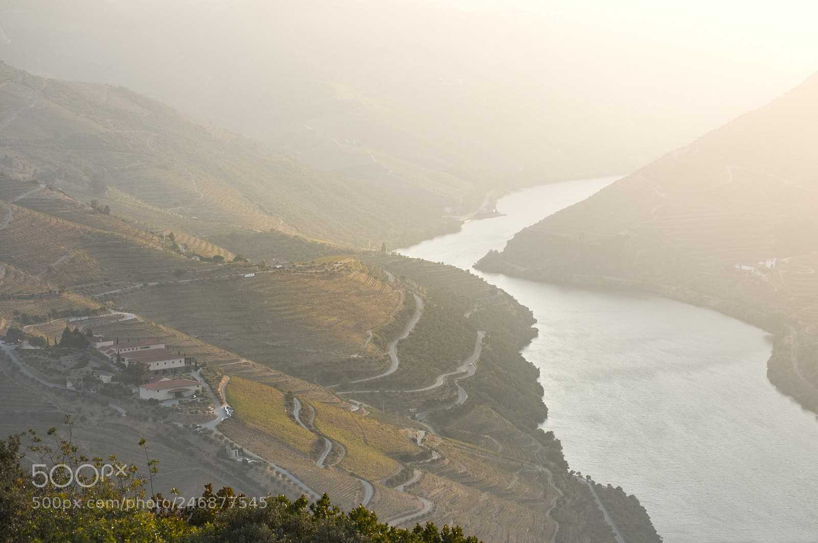 Fujifilm X-T2 sample photo. Vineyards and the douro photography