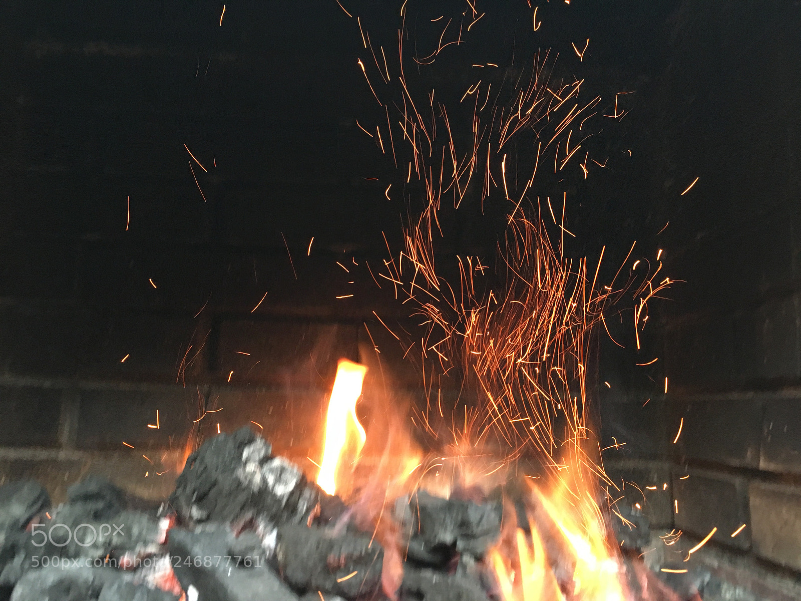 Apple iPhone 6s sample photo. Untitled photography