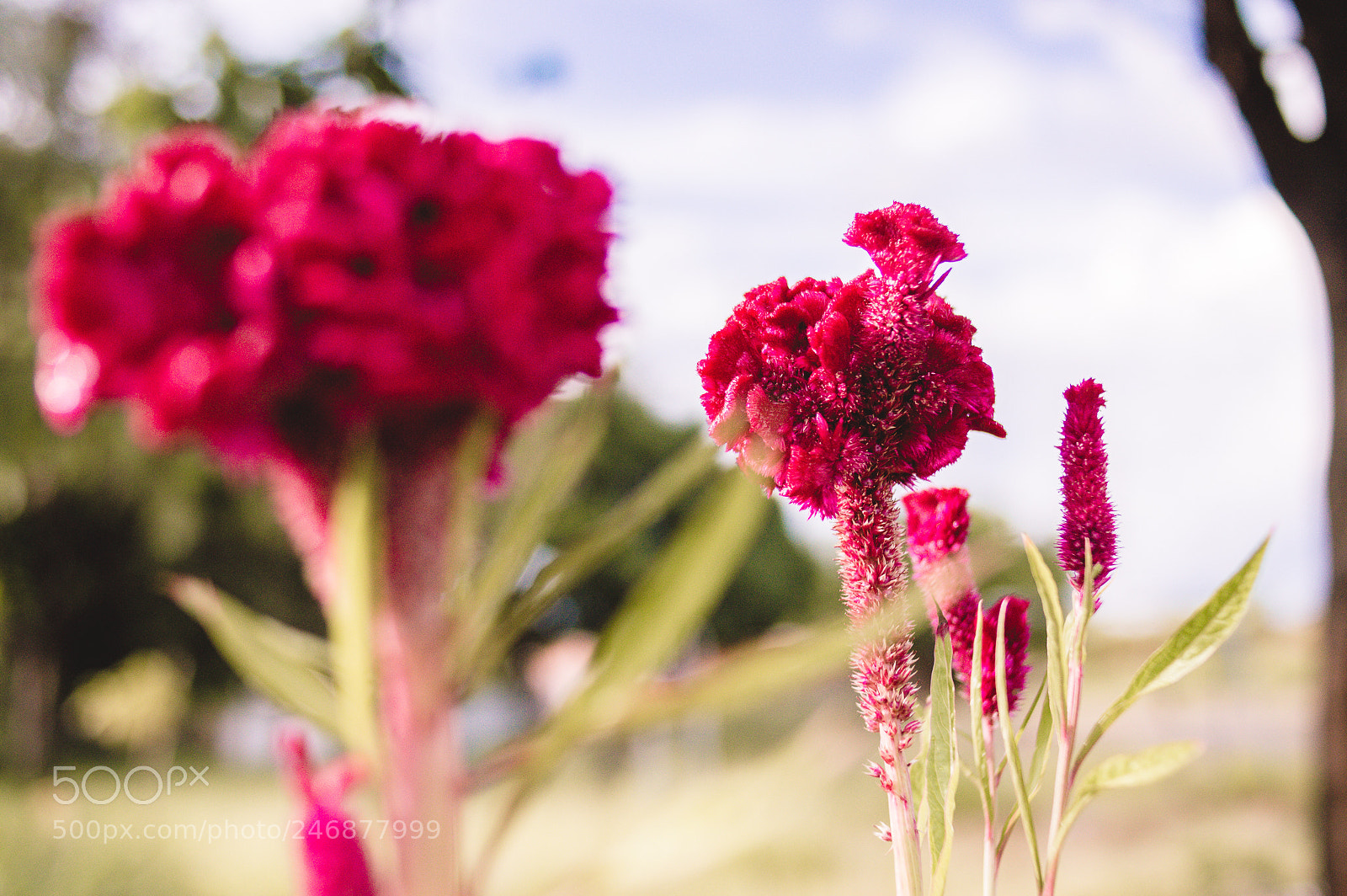 Nikon D3200 sample photo. Untitled photography