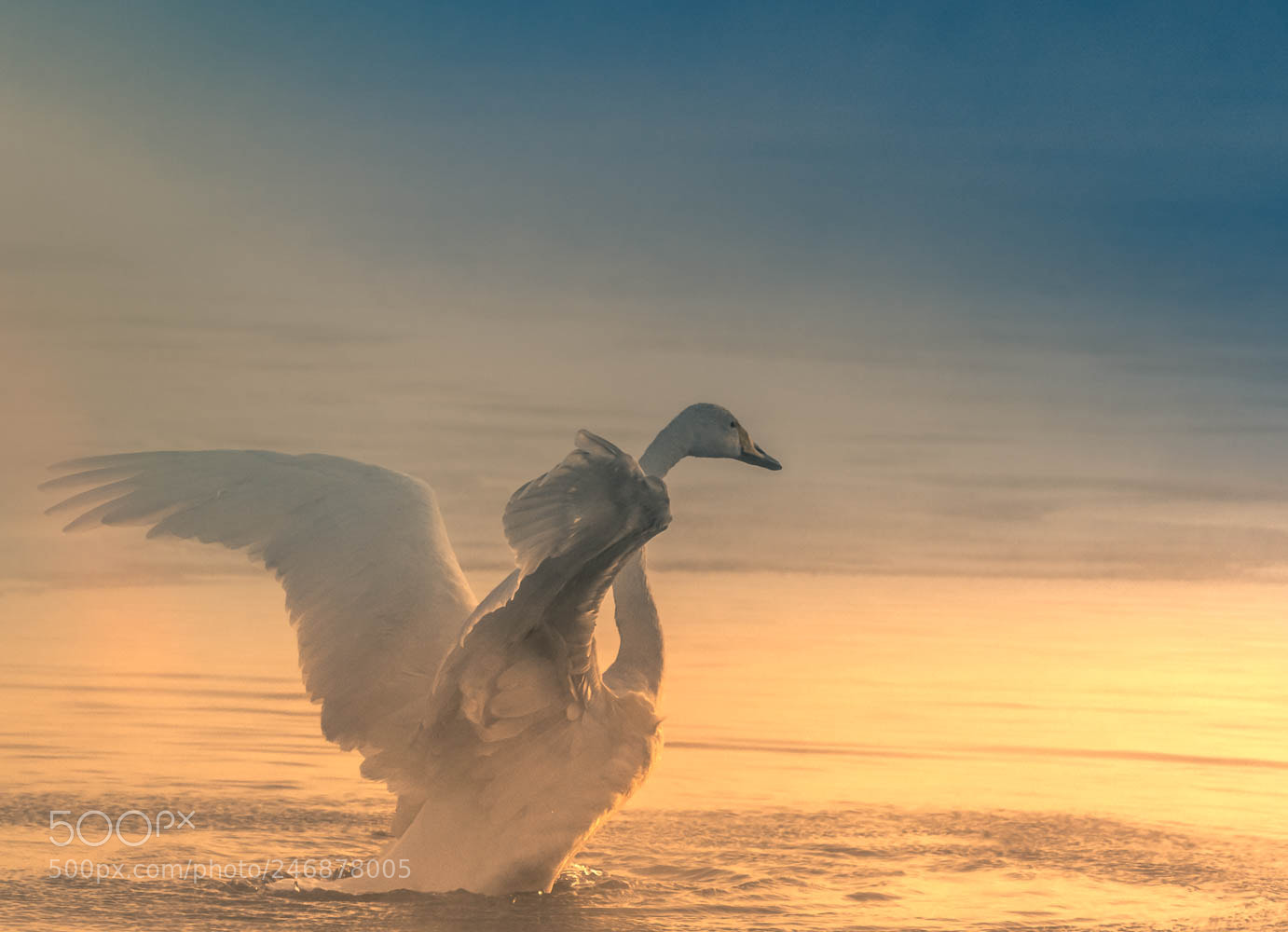 Nikon D500 sample photo. Cold morning photography