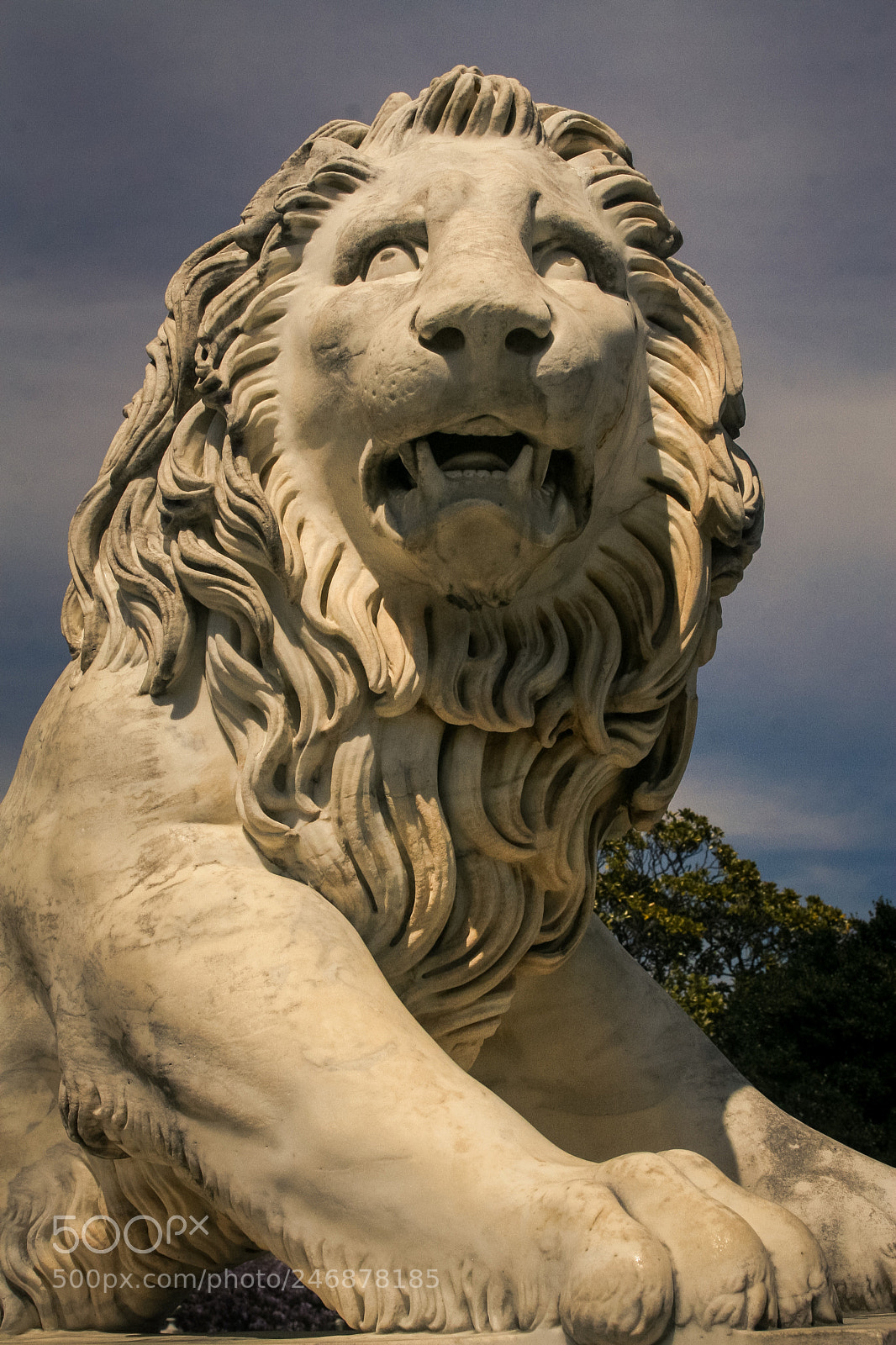Canon EOS 30D sample photo. Closeup white marble lion photography