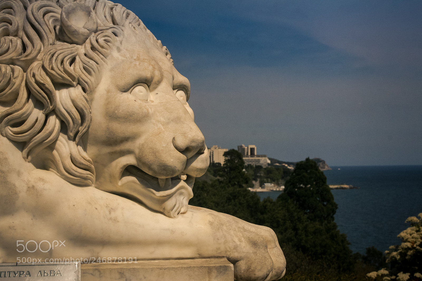 Canon EOS 30D sample photo. Closeup white marble lion photography