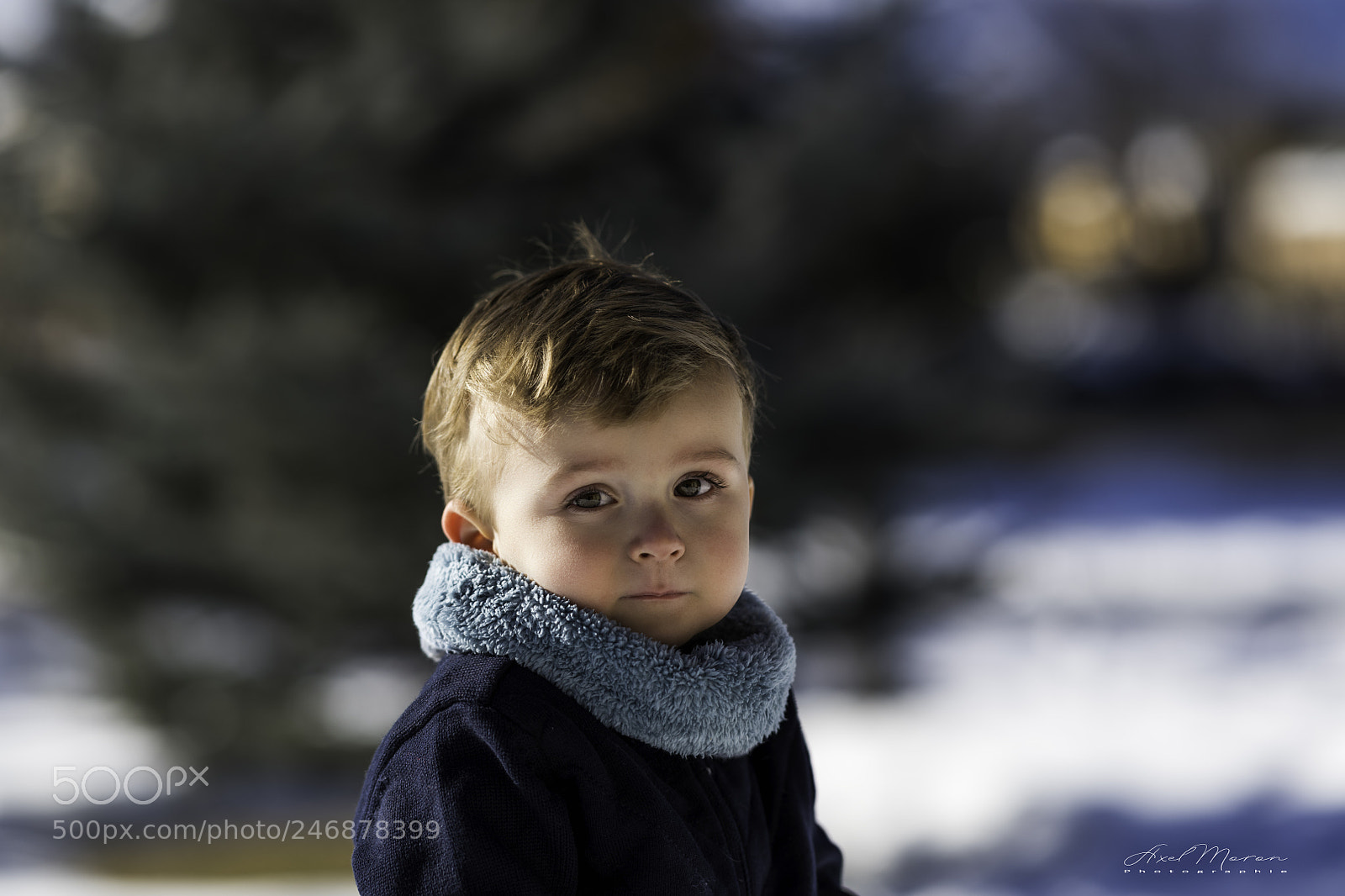 Nikon D850 sample photo. Valentin photography