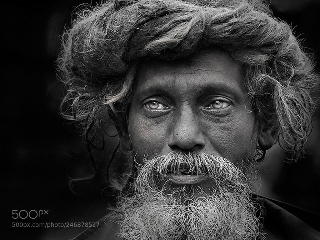 Canon EOS-1D Mark IV sample photo. Glare of despair photography