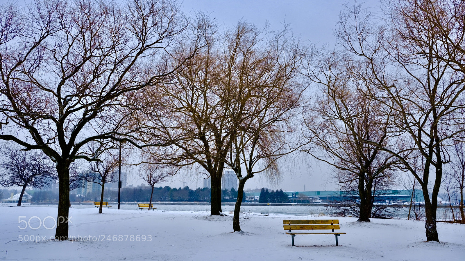 Fujifilm GFX 50S sample photo. Winter s lakeshore of photography