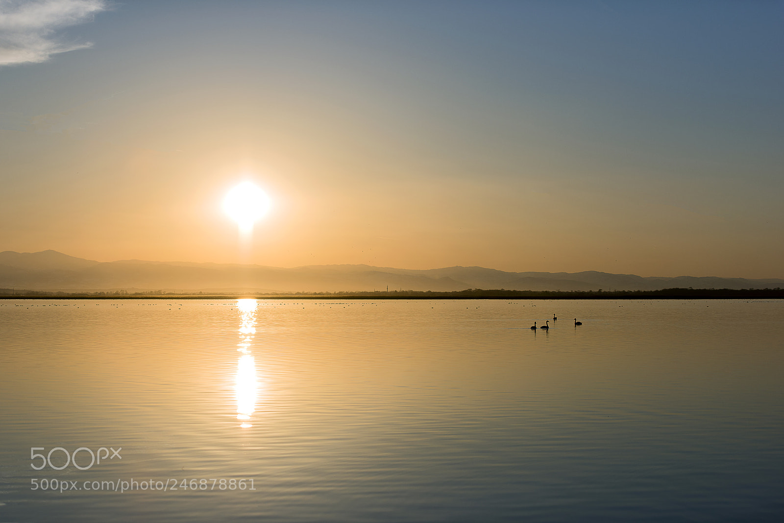 Nikon D810 sample photo. The color of nature photography