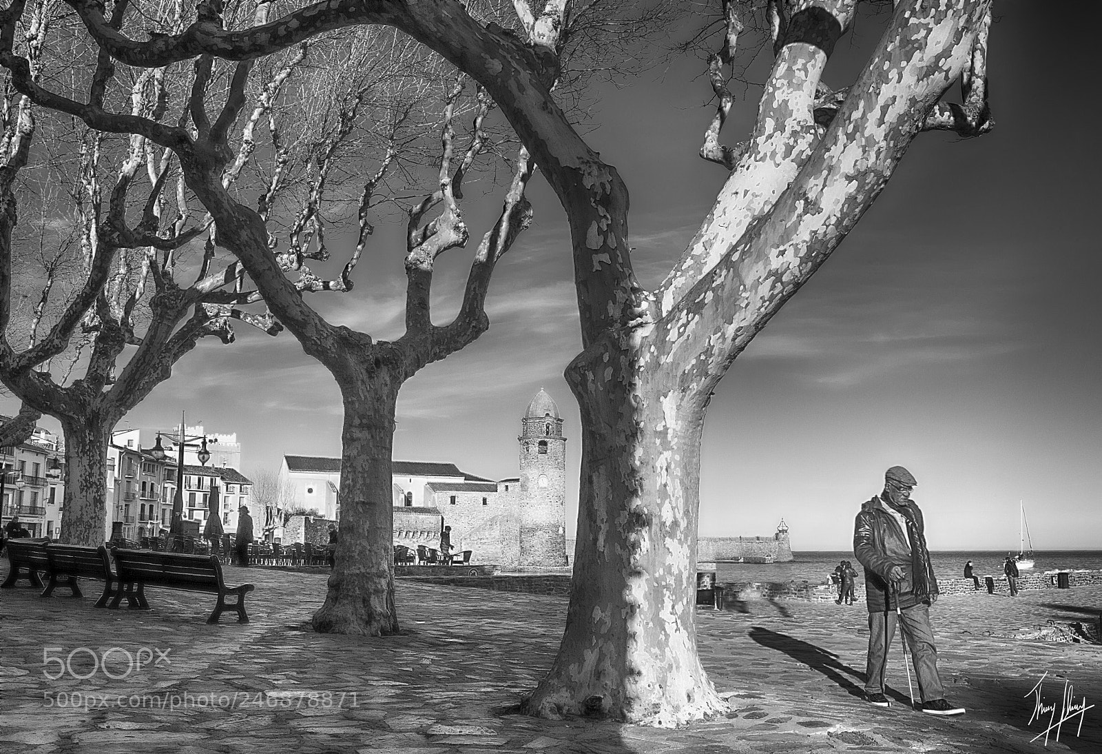 Canon EOS-1D Mark IV sample photo. Ombres collioure vieux photography