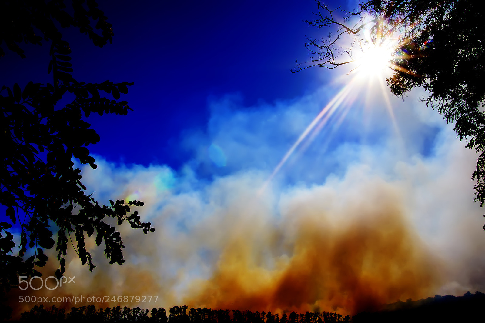 Sony SLT-A65 (SLT-A65V) sample photo. Dust storm photography