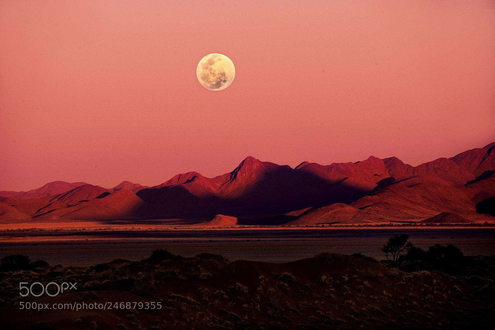 Nikon D800E sample photo. Red desert photography