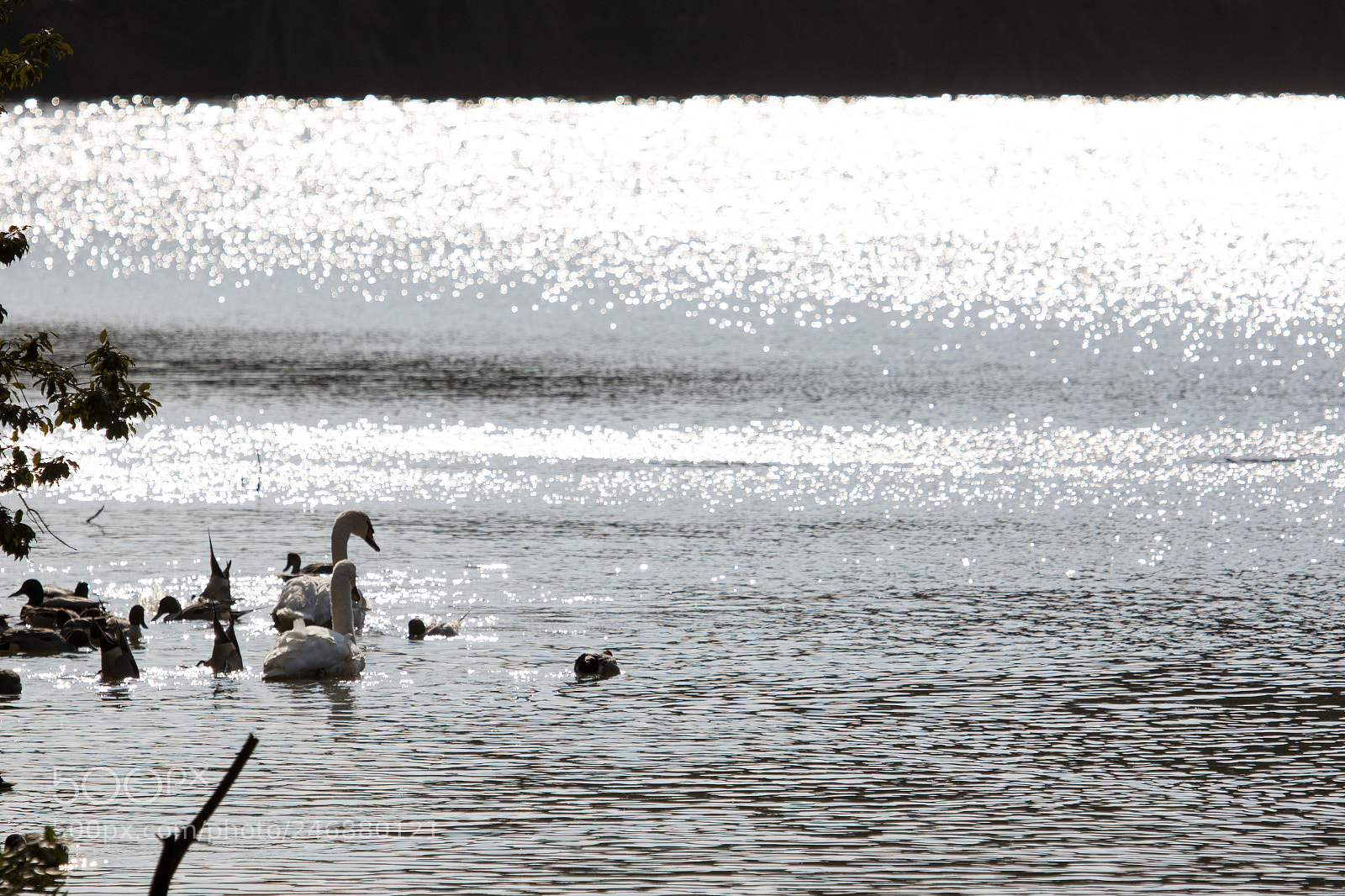 Canon EOS 7D Mark II sample photo. Into the light photography