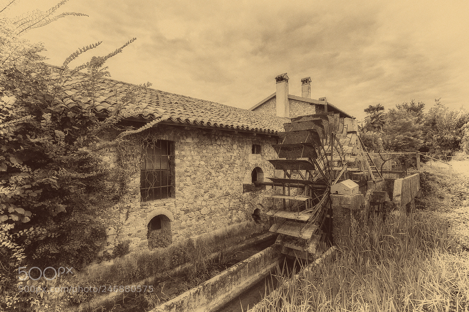 Nikon D700 sample photo. Old water wheels of photography