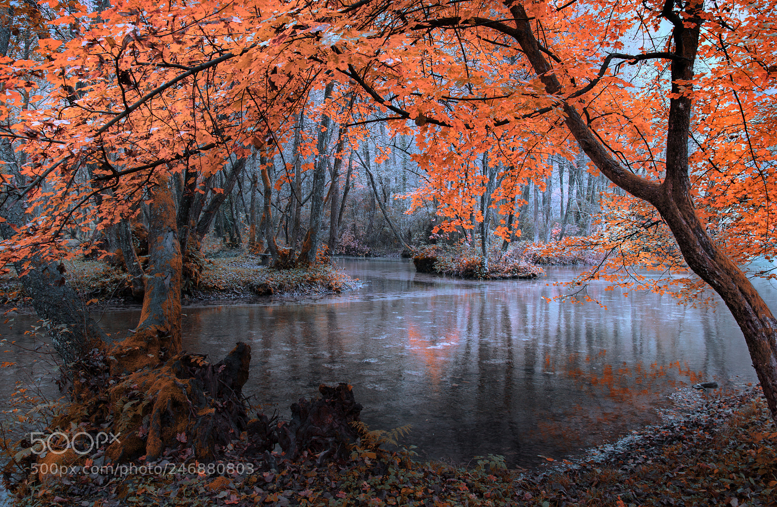 Nikon D610 sample photo. River photography
