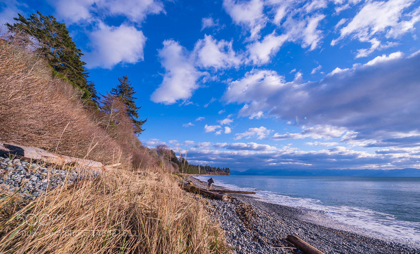 Nikon Df sample photo. Blue of sky photography
