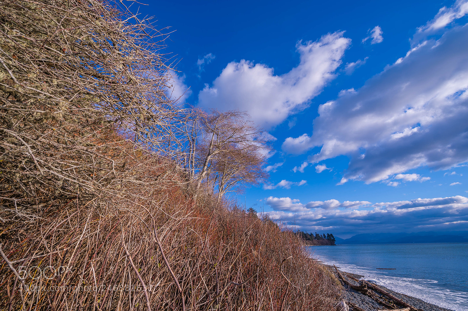 Nikon Df sample photo. Blue of sky photography