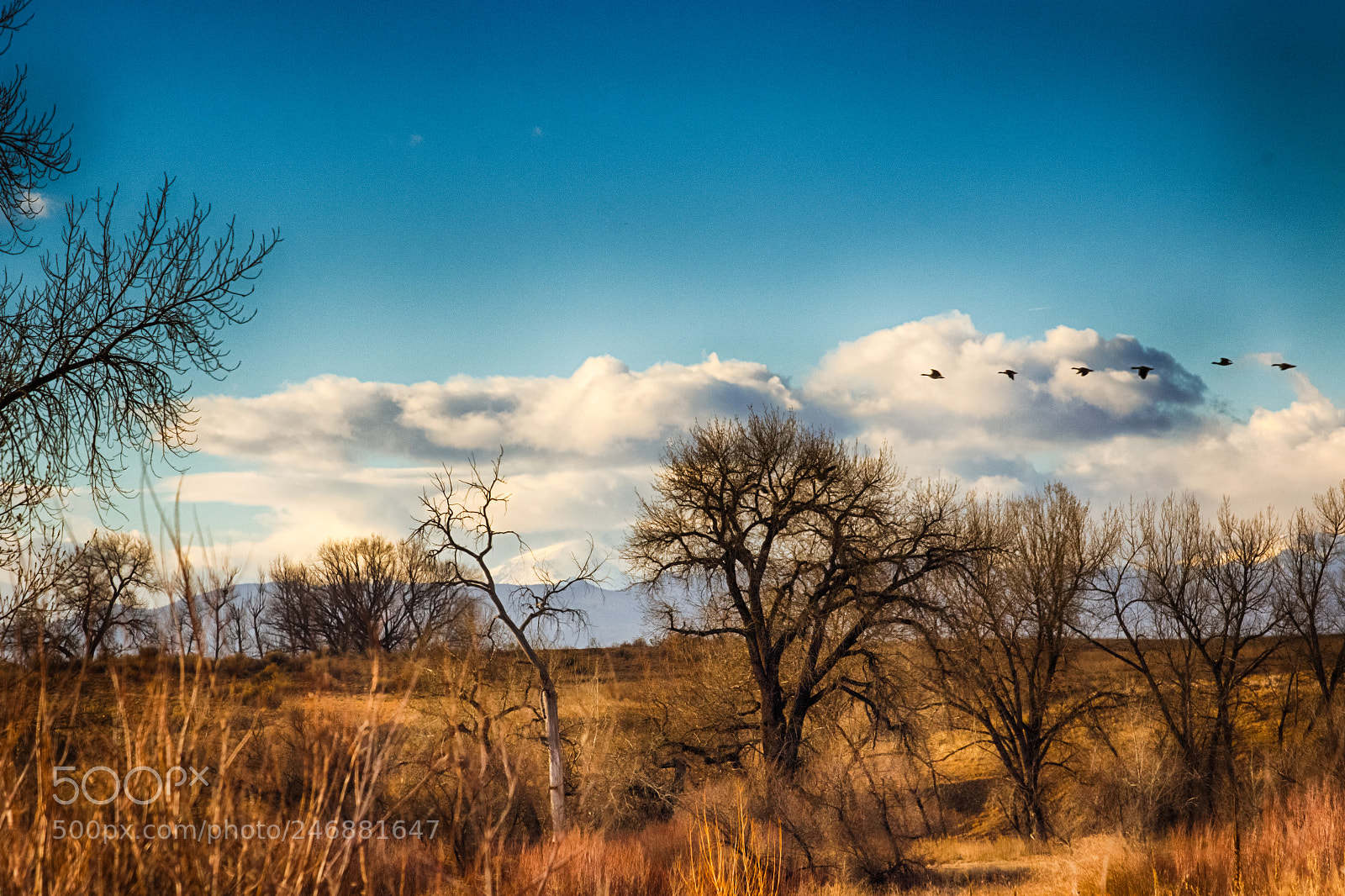 Canon EOS 7D Mark II sample photo. Going places photography