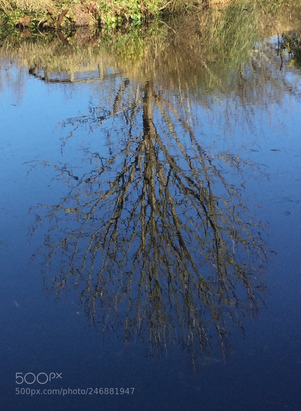 Apple iPod touch sample photo. More reflections on a photography