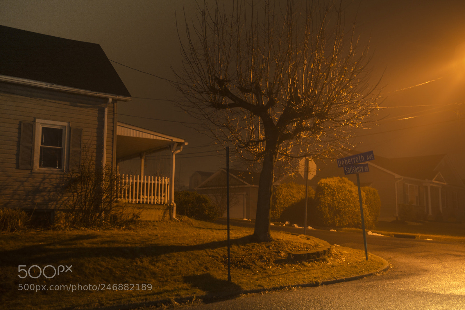 Nikon D7100 sample photo. Golden at ueberroth photography