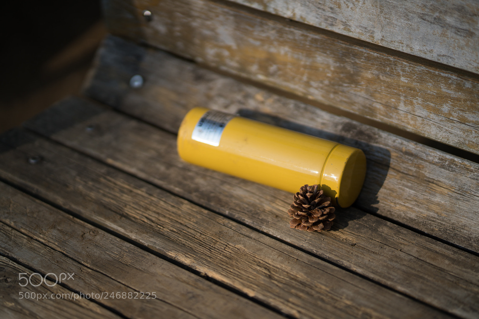 Sony a7R III sample photo. Lost articles photography