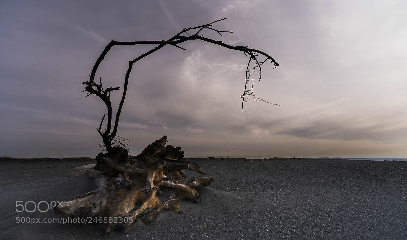 Nikon D800 sample photo. Winter sky photography