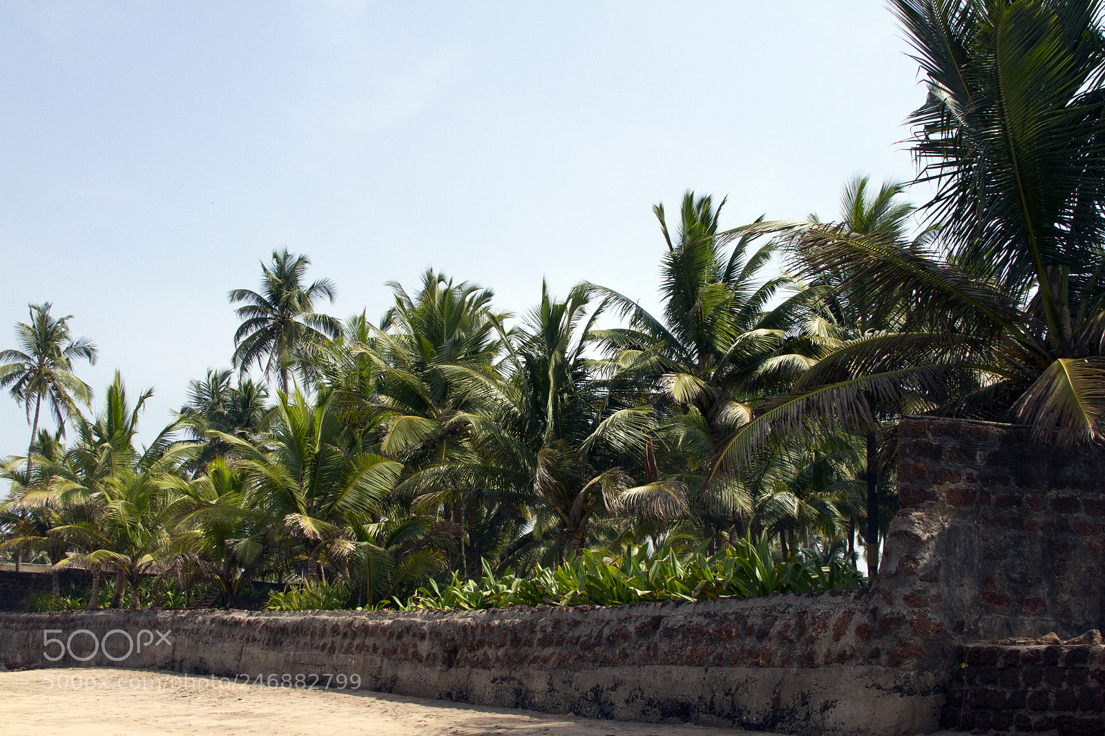 Canon EOS 7D sample photo. Goa india beach, beautiful photography