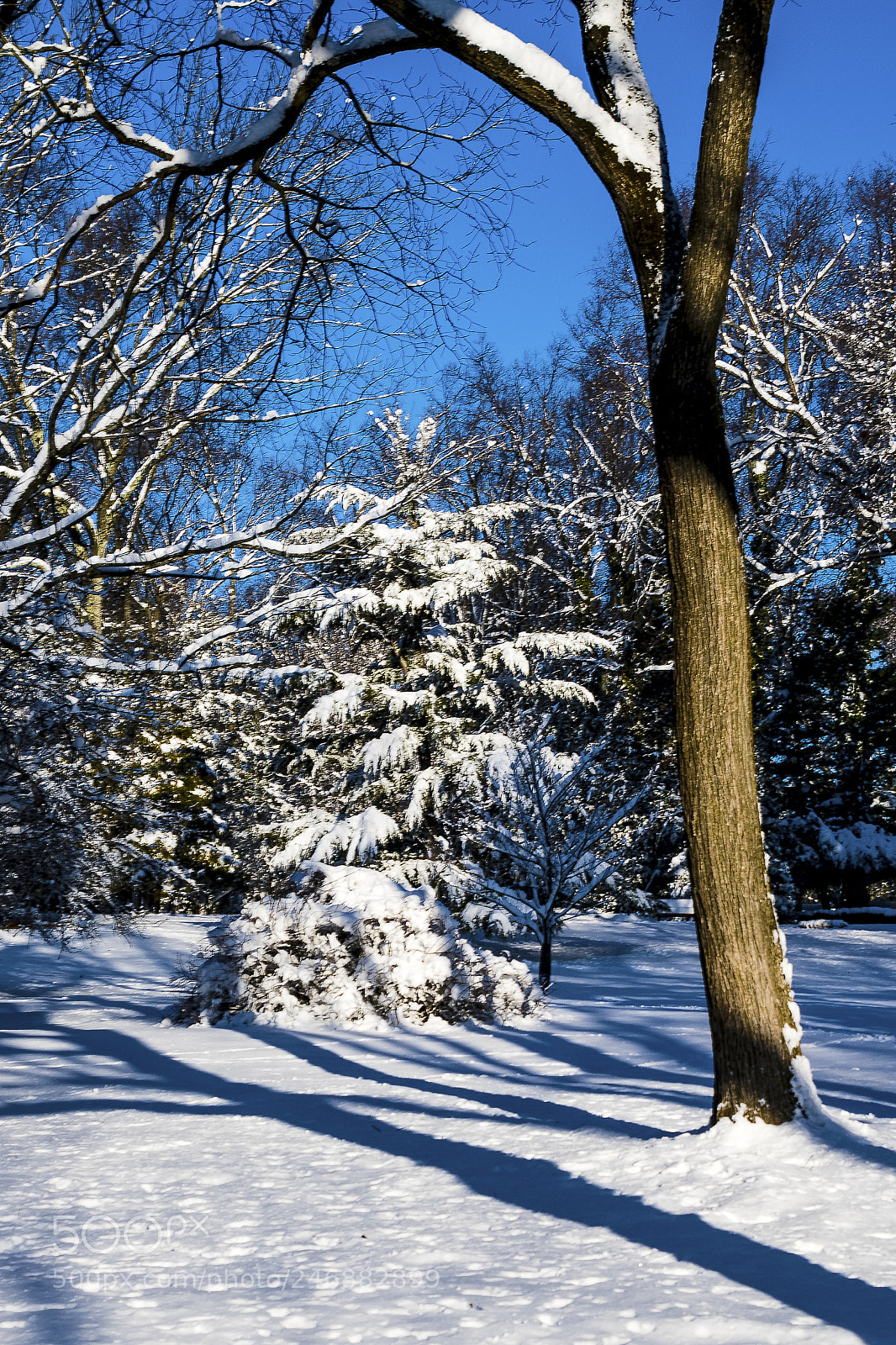 Nikon D850 sample photo. Nature at her best photography