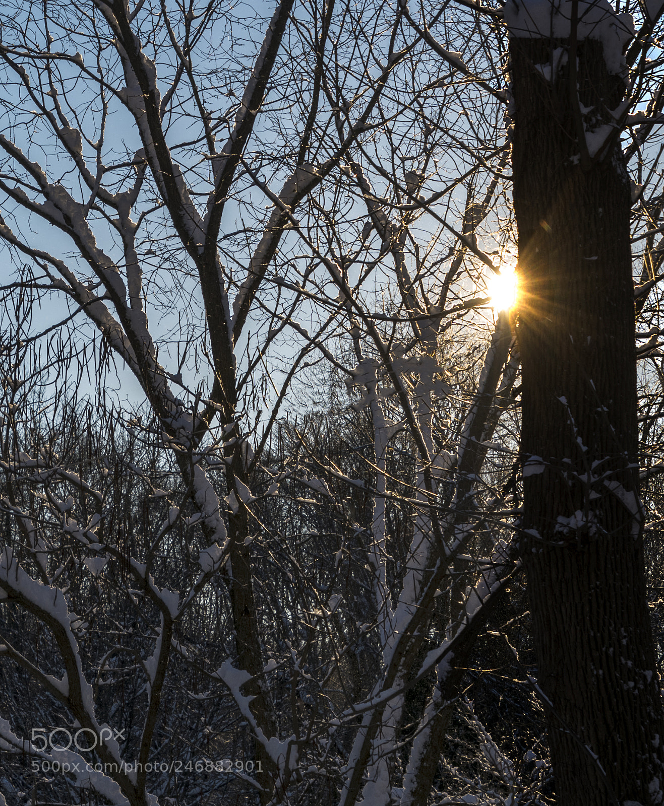 Nikon D850 sample photo. Day break after snow photography